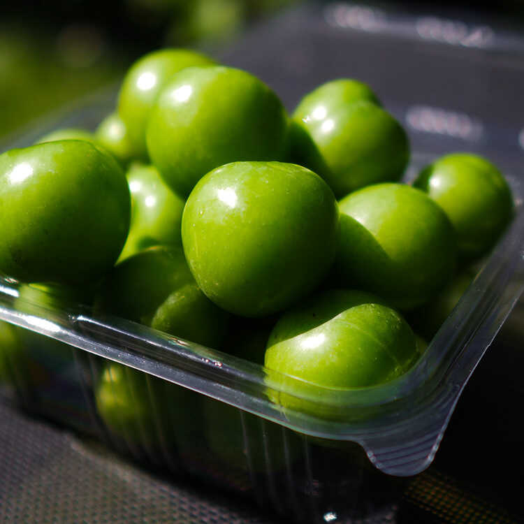 Fresh Green Plum, 17.63oz - 500g