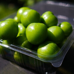 Fresh Green Plum, 17.63oz - 500g - Thumbnail