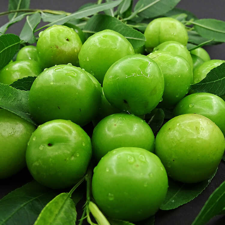 https://www.gourmeturca.com/fresh-green-plum-500g-bedding-gourmeturca-8546-37-B.jpg